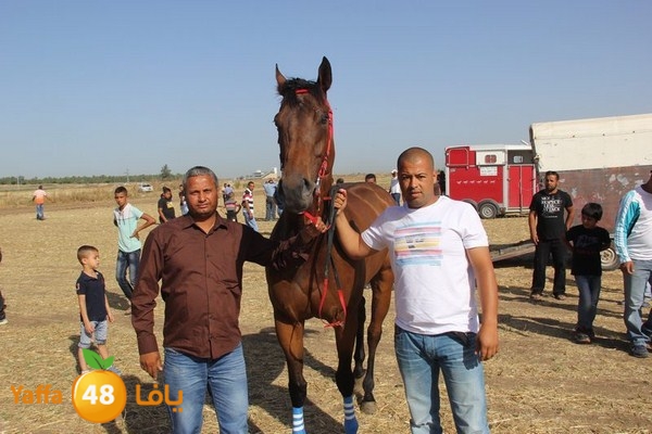 horse race 0602 (14).JPG